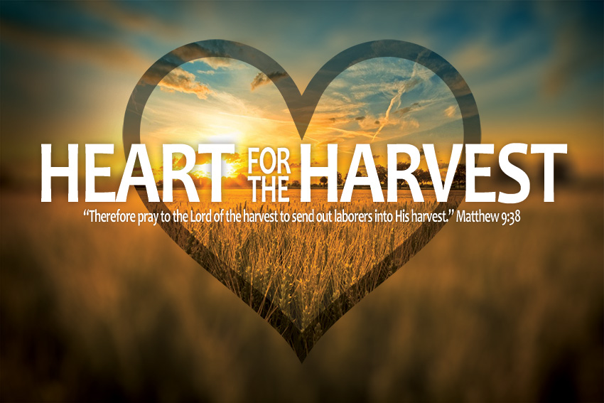 heart-for-the-harvest